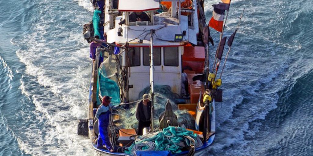 advanced tuna fishing techniques on a boat in the ocean